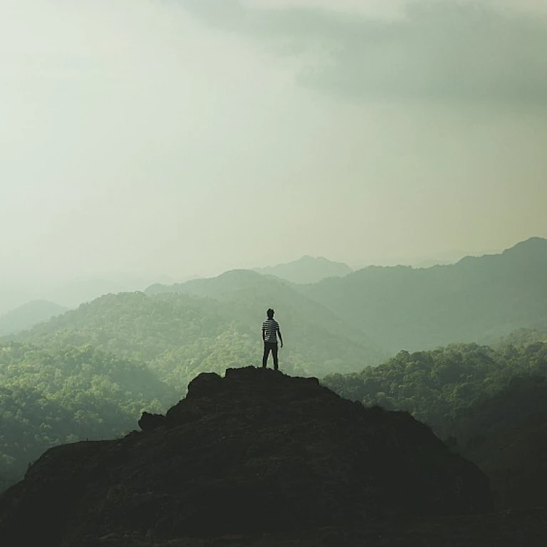 Choosing the Optimal Learning Management System for Remote Teams