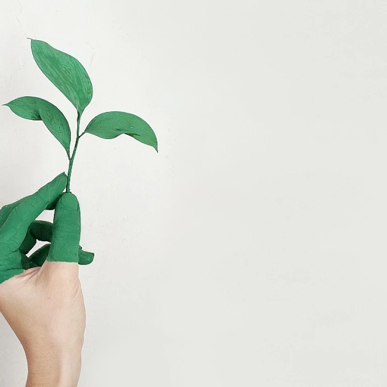 Navigating the Complexities of HR Risk Management