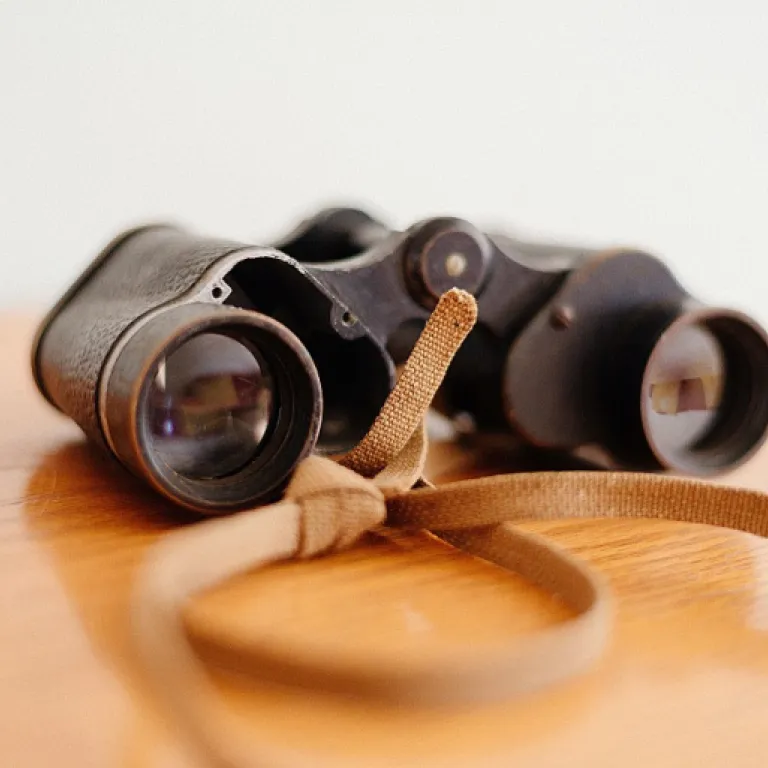 How hr case management is transforming workplace innovation